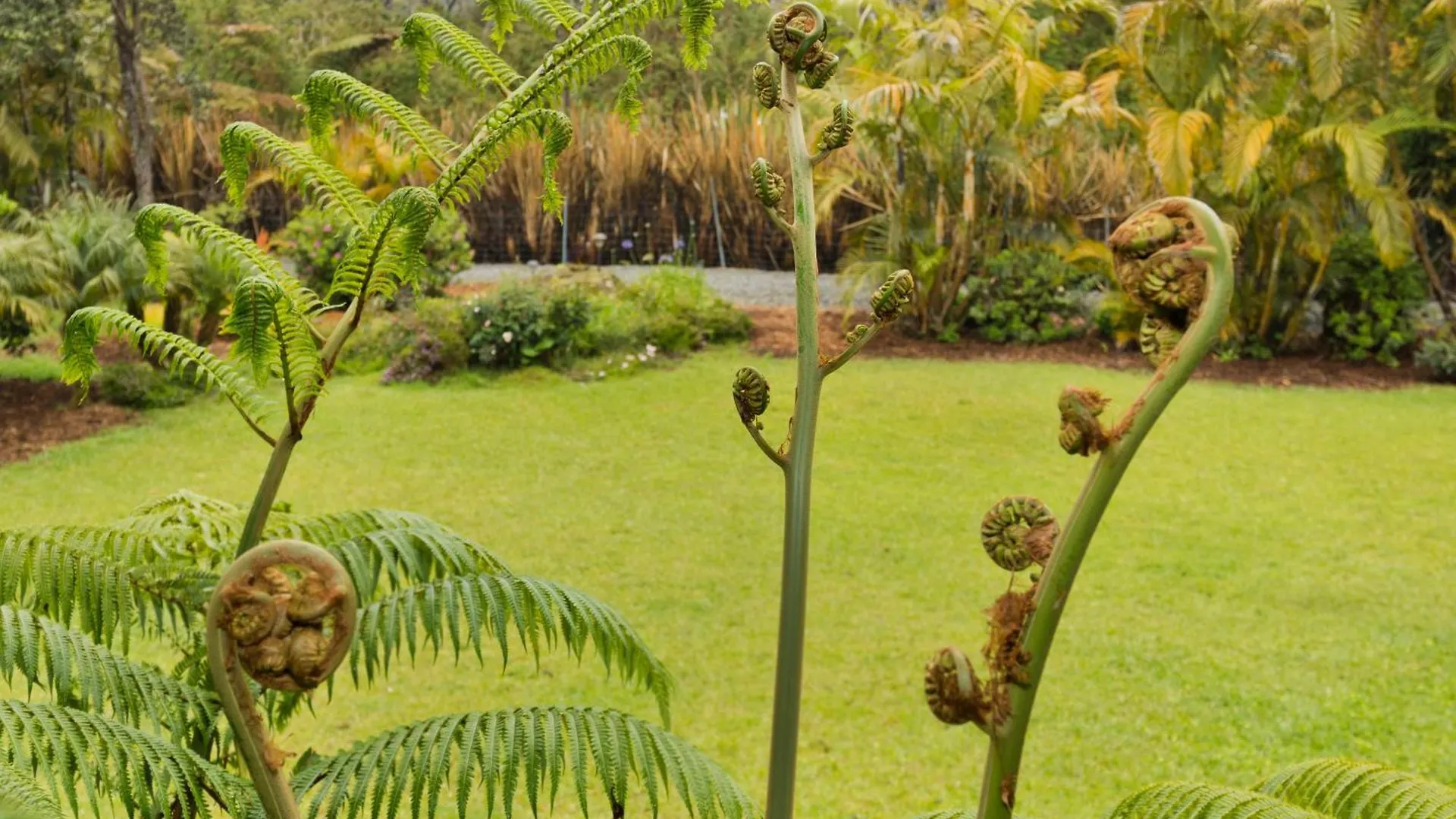 ** Bed & Breakfast Aloha Junction Bed And Breakfast -Minutes Away From Hawaii Volcanoes National Park United States