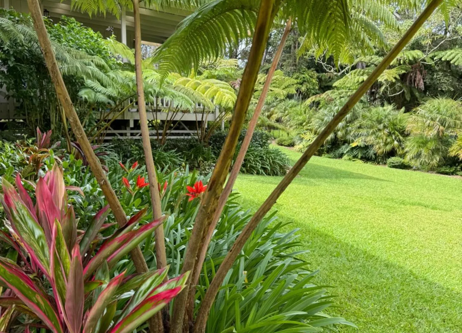 Aloha Junction Bed And Breakfast -Minutes Away From Hawaii Volcanoes National Park 2*, Volcano