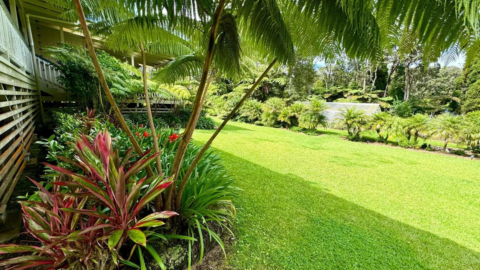 Aloha Junction Bed And Breakfast -Minutes Away From Hawaii Volcanoes National Park United States