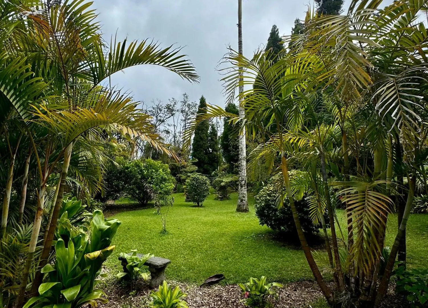 Aloha Junction Bed And Breakfast -Minutes Away From Hawaii Volcanoes National Park