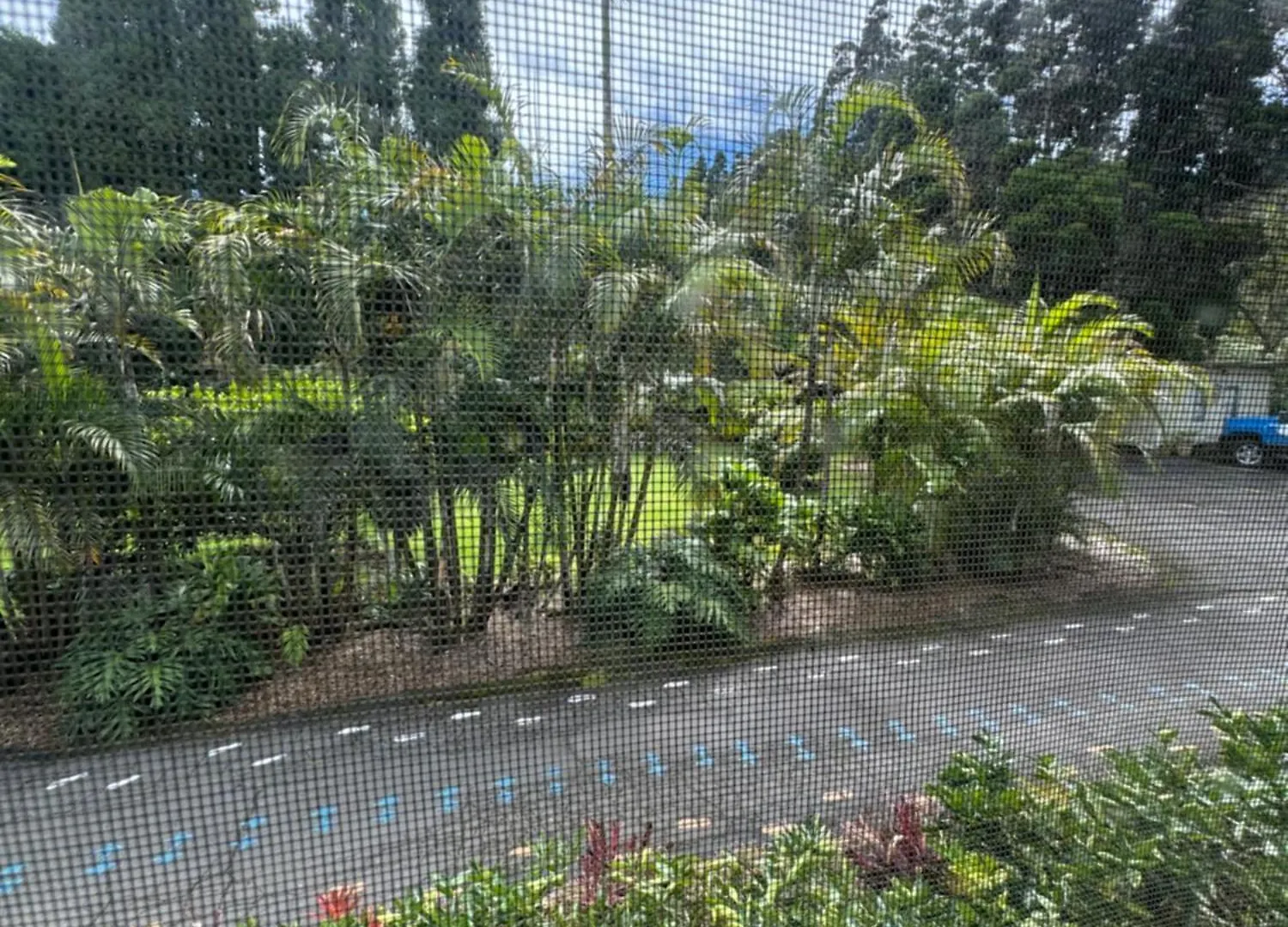 Aloha Junction Bed And Breakfast -Minutes Away From Hawaii Volcanoes National Park Volcano